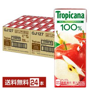 キリン トロピカーナ 100％ アップル 250ml 紙 24本 1ケース