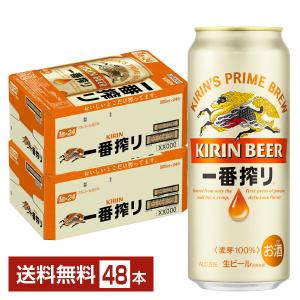 ビール キリン 一番搾り 生ビール 500ml 缶 24本×2ケース（48本） 送料無料｜felicity-y