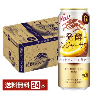 キリン 麒麟 発酵ジンジャーサワー 500ml 缶 24本 1ケース