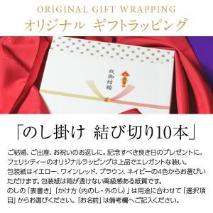 包装紙+のし掛け 【結び切り水引10本】 結婚...の詳細画像1