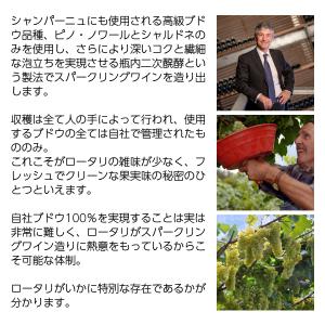 スパークリングワイン イタリア ロータリ タレ...の詳細画像2