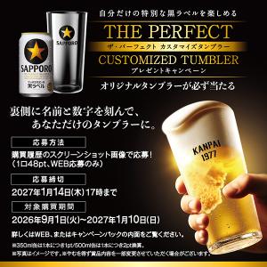 【先着順 最大300円OFFクーポン取得可】ビ...の詳細画像2