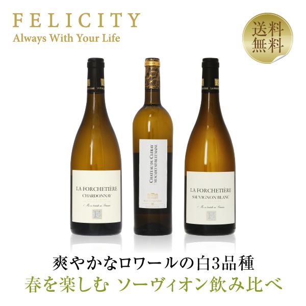 爽やかな春を楽しむ ソーヴィオン 飲み比べ セット 750ml×3 送料無料 包装不可 白 ワイン ...