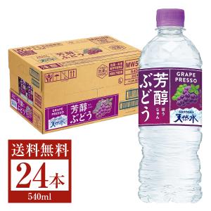 サントリー 芳醇ぶどう＆サントリー天然水 540ml ペットボトル 24本 1ケース 送料無料