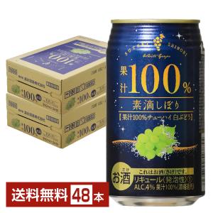 富永貿易 素滴しぼり 果汁100％ チューハイ 白ブドウ 350ml 缶 24本×2ケース