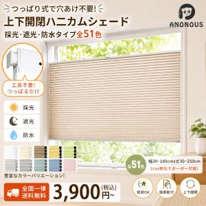 先着6枚クーポン!ハニカムシェード つっぱり コ...の商品画像