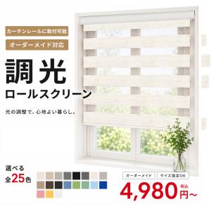 先着6枚クーポン!調光 ロールスクリーン 遮光1...の商品画像