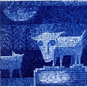 Cd タテタカコ イキモノタチ サプライズweb 通販 Paypayモール