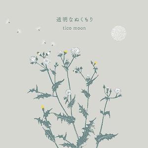  取寄商品 紙ジャケット tico 透明なぬくもり
