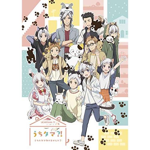 DVD/TVアニメ/うちタマ?! 〜うちのタマ知りませんか?〜3 (DVD+CD) (完全生産限定版...