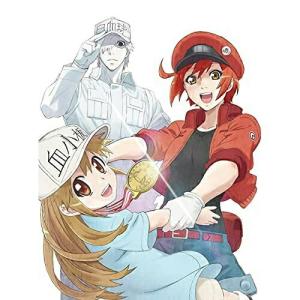 TVアニメ はたらく細胞!! 全巻 1-4 DVD セット : 脳トレ生活 - 通販