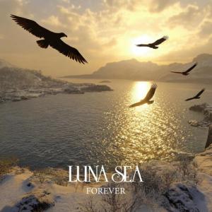 CD/LUNA SEA/FOREVER｜Felista玉光堂