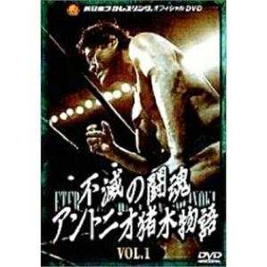DVD/スポーツ/ハヤブサ不死鳥伝説 全日本参戦の足跡 : Felista玉