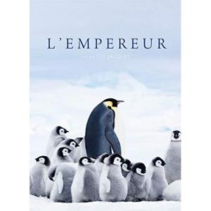 【取寄商品】DVD ドキュメンタリー 皇帝ペンギン ただいまの買取情報