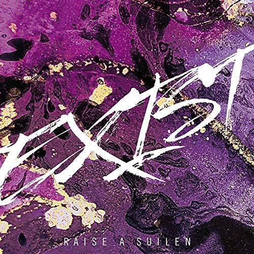 【取寄商品】CD/RAISE A SUILEN/EXIST (CD+Blu-ray)