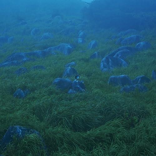 【取寄商品】CD/She Her Her Hers/Diffusion of Responsibil...