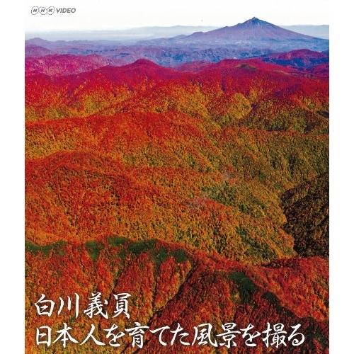 BD/趣味教養/白川義員 日本人を育てた風景を撮る(Blu-ray) (解説付)