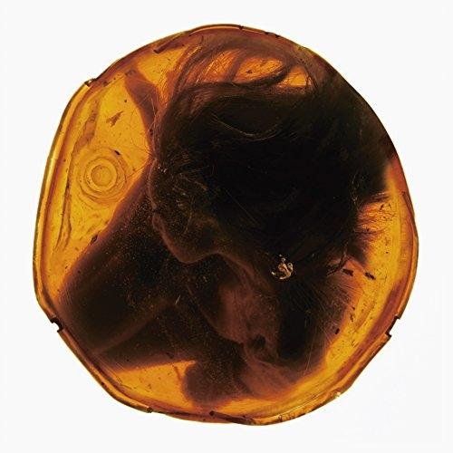 CD/jan and naomi/Fracture【Pアップ