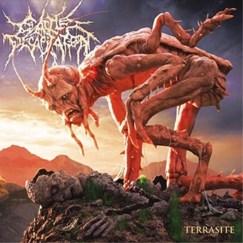 【取寄商品】CD/CATTLE DECAPITATION/TERRASITE