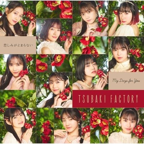 CD/つばきファクトリー/My Days for You/悲しみがとまらない (CD+Blu-ray...