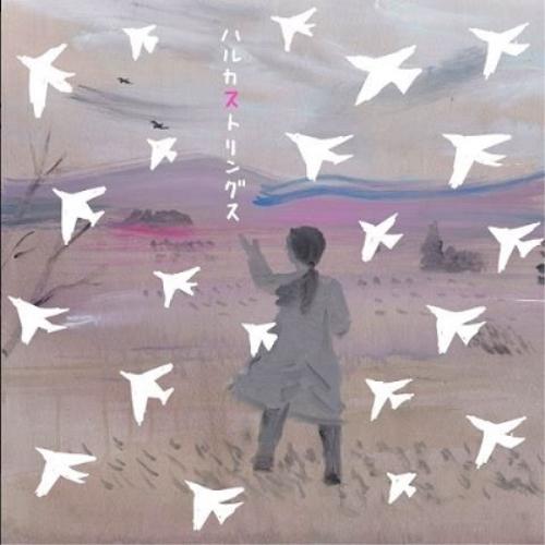 【取寄商品】CD/ハルカストリングス/風の中の夢