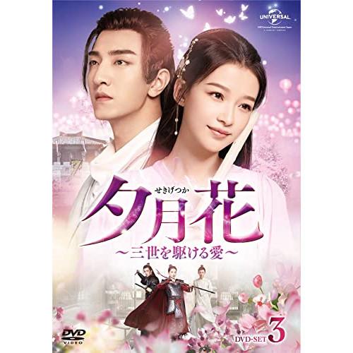 DVD/海外TVドラマ/夕月花(せきげつか)〜三世を駆ける愛〜 DVD-SET3【Pアップ