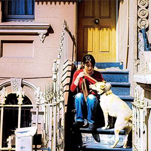 ZARD Request Best-beautiful memory-(DVD付.. ／ (CD) : バンダ