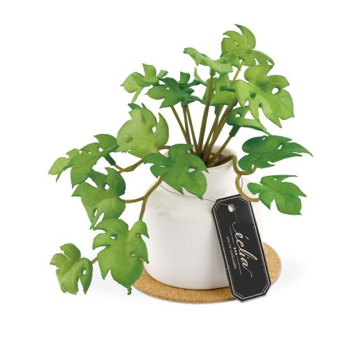 【送料込】 消臭アーティフィシャルグリーン(S) エクリア ミニモンステラ / 株式会社キシマ