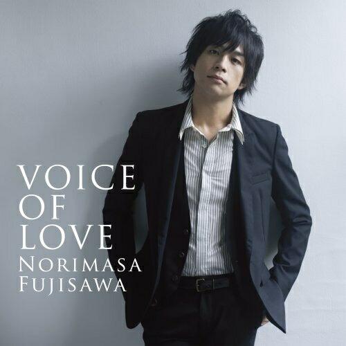 CD/藤澤ノリマサ/VOICE OF LOVE 〜愛の力〜 (CD+DVD)【Pアップ