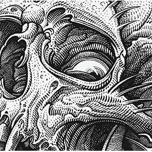 【取寄商品】CD/SHADOWS/Chain Reaction (CD+DVD)