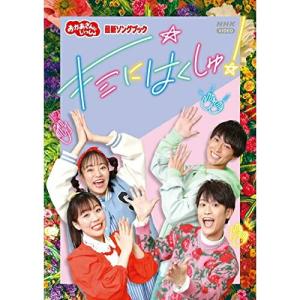 DWE Zippy And Me DVD CD （各3枚）ディズニー 子供用英語システム