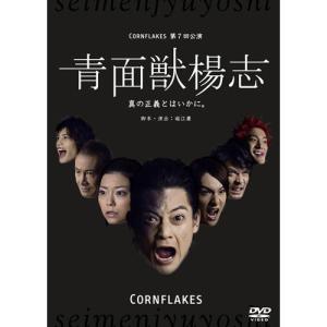 DVD 武智健二 青面獣楊志