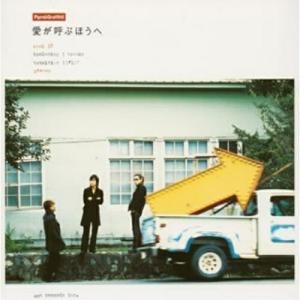 ポルノグラフィティ全書 ALL TIME SINGLES 初回生産限定盤BD付