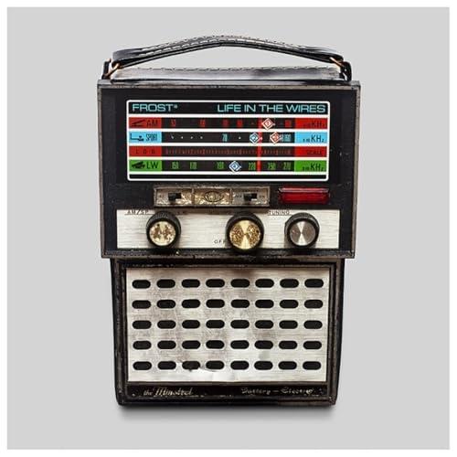 CD/フロスト*/ライフ・イン・ザ・ワイヤーズ (Blu-specCD2) (解説歌詞対訳付)