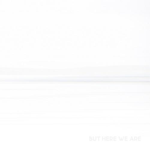 CD/フー・ファイターズ/バット・ヒア・ウィ・アー (解説歌詞対訳付/紙ジャケット)