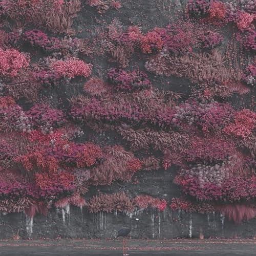 CD/スリープ・トークン/イーヴン・イン・アーケイディア (解説付)