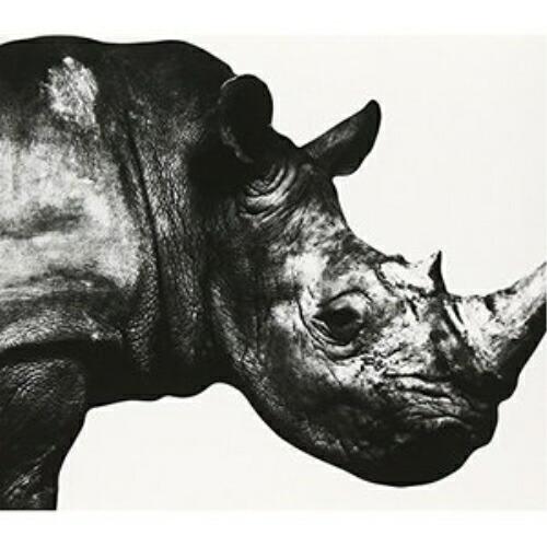 CD/Mr.Children/Mr.Children 1992-1995【Pアップ