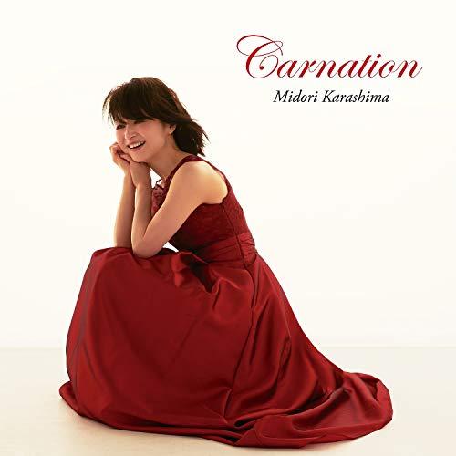 CD/辛島美登里/Carnation