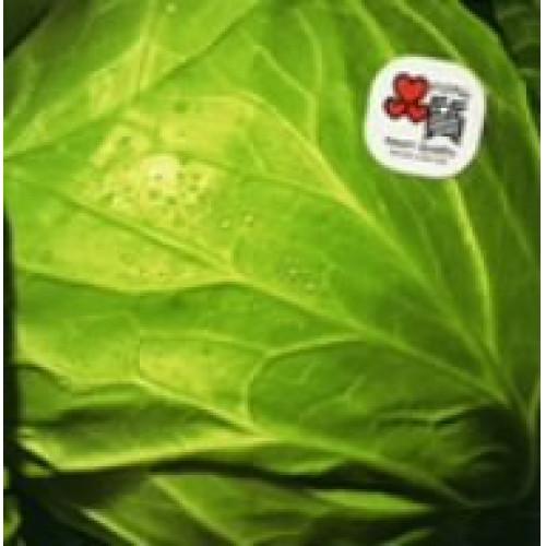 CD/DREAMS COME TRUE/何度でも