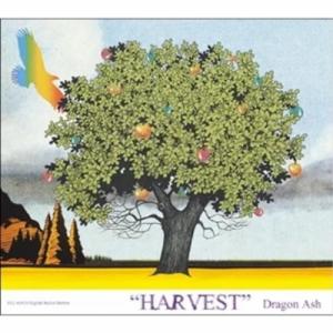 CD/Dragon Ash/HARVEST【Pアップ