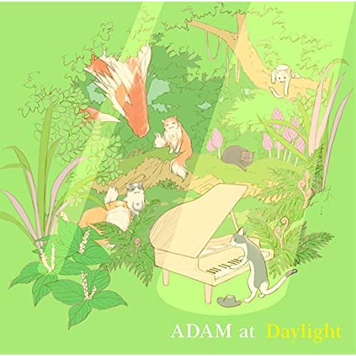 CD/ADAM at/Daylight (歌詞付)【Pアップ
