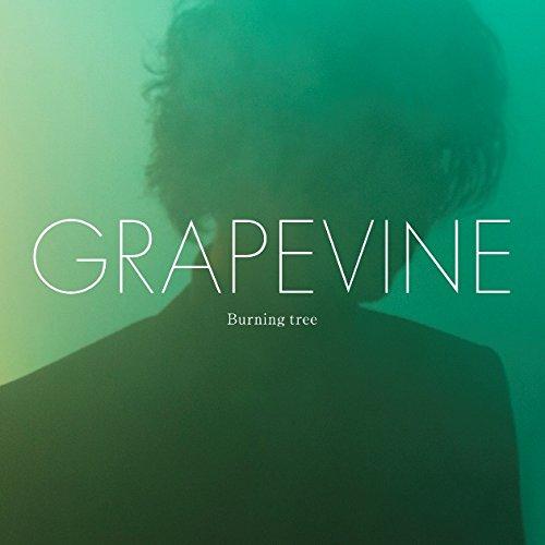 CD/GRAPEVINE/Burning tree (CD+DVD) (歌詞付) (初回限定盤)