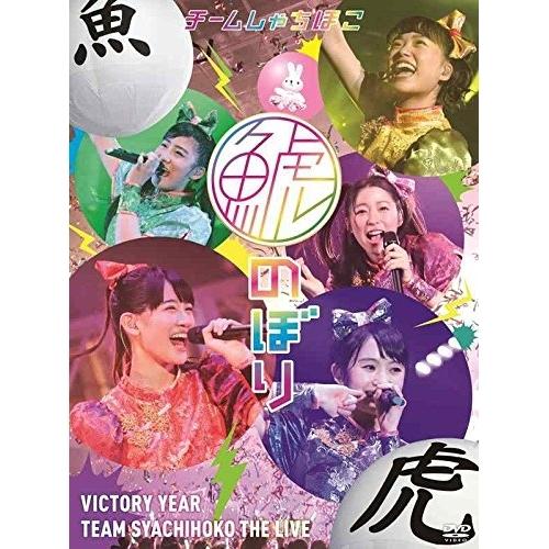 DVD/チームしゃちほこ/鯱のぼり at 幕張メッセイベントホール (通常版)【Pアップ