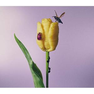 韓国ドラマOST / 『彼女はキレイだった』[2CD](MBC水木ミニシリーズ