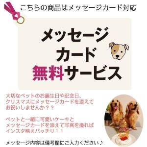 犬用 ケーキ コミフやさしいスイーツ 米粉のカ...の詳細画像4