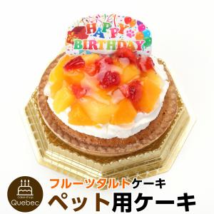 ペットケーキ コミフ フルーツタルト バースデーケーキ 誕生日ケーキ ペット用ケーキ 犬用 ワンちゃん用