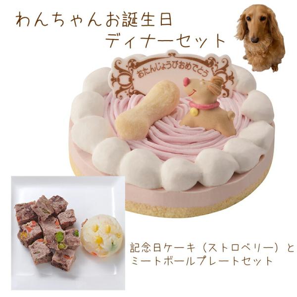 わんちゃんお誕生日ディナーセット 記念日ケーキストロベリーとミートボールプレートプレートのセット 送...