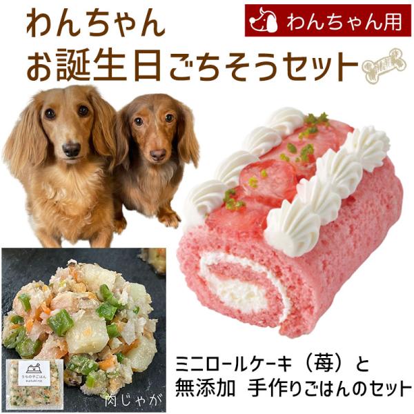 わんちゃんお誕生日ごちそうセット ミニロールケーキ（苺）と手作り 犬用ごはん 肉じゃがのセット