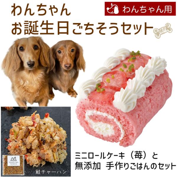 わんちゃんお誕生日ごちそうセット ミニロールケーキ（苺）と 無添加 手作り 犬用ごはん 鮭チャーハン...