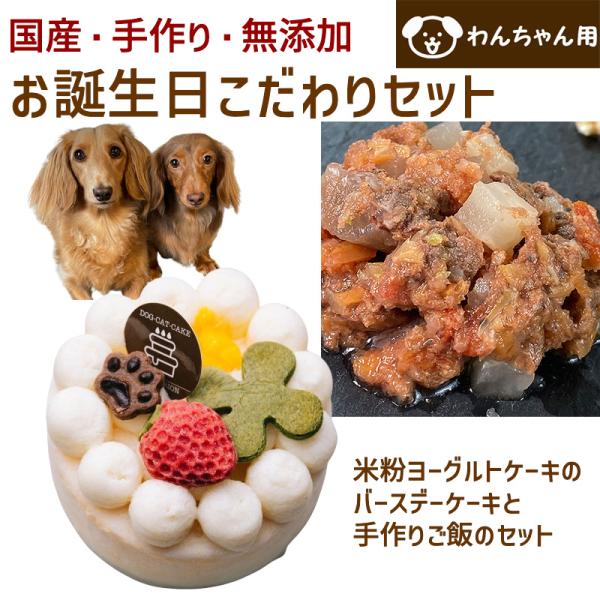 わんちゃんお誕生日こだわりセット 愛犬のお祝いケーキ マンゴー入り米粉ヨーグルトケーキバースデーケー...